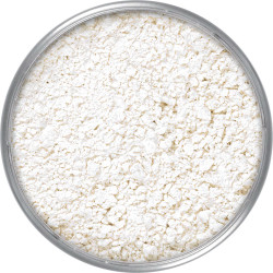 Kryolan Translucent Powder TL-2 (15 gms)