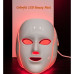 Professional Face Led Mask