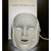 Professional Face Led Mask