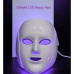 Professional Face Led Mask