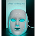 Professional Face Led Mask