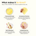 Sponge Reusable (Yellow-12 Pcs)