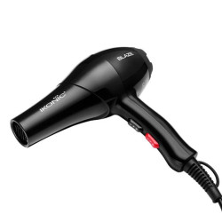 Ikonic Professional Blaze Hair Dryer