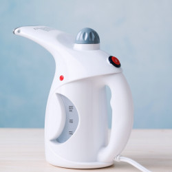 Steamer Face And Hand Held ( Model-RZ )